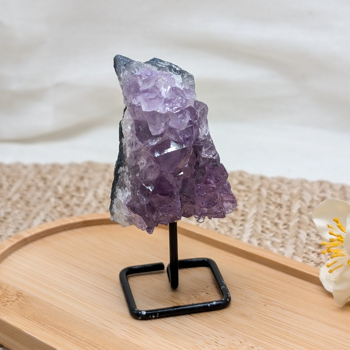 Amethyst Cluster auf Ständer [X1]