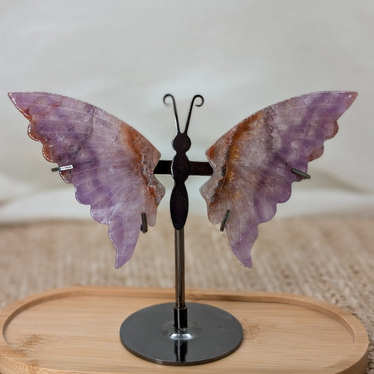 Crazy Lace Amethyst Schmetterling [B]