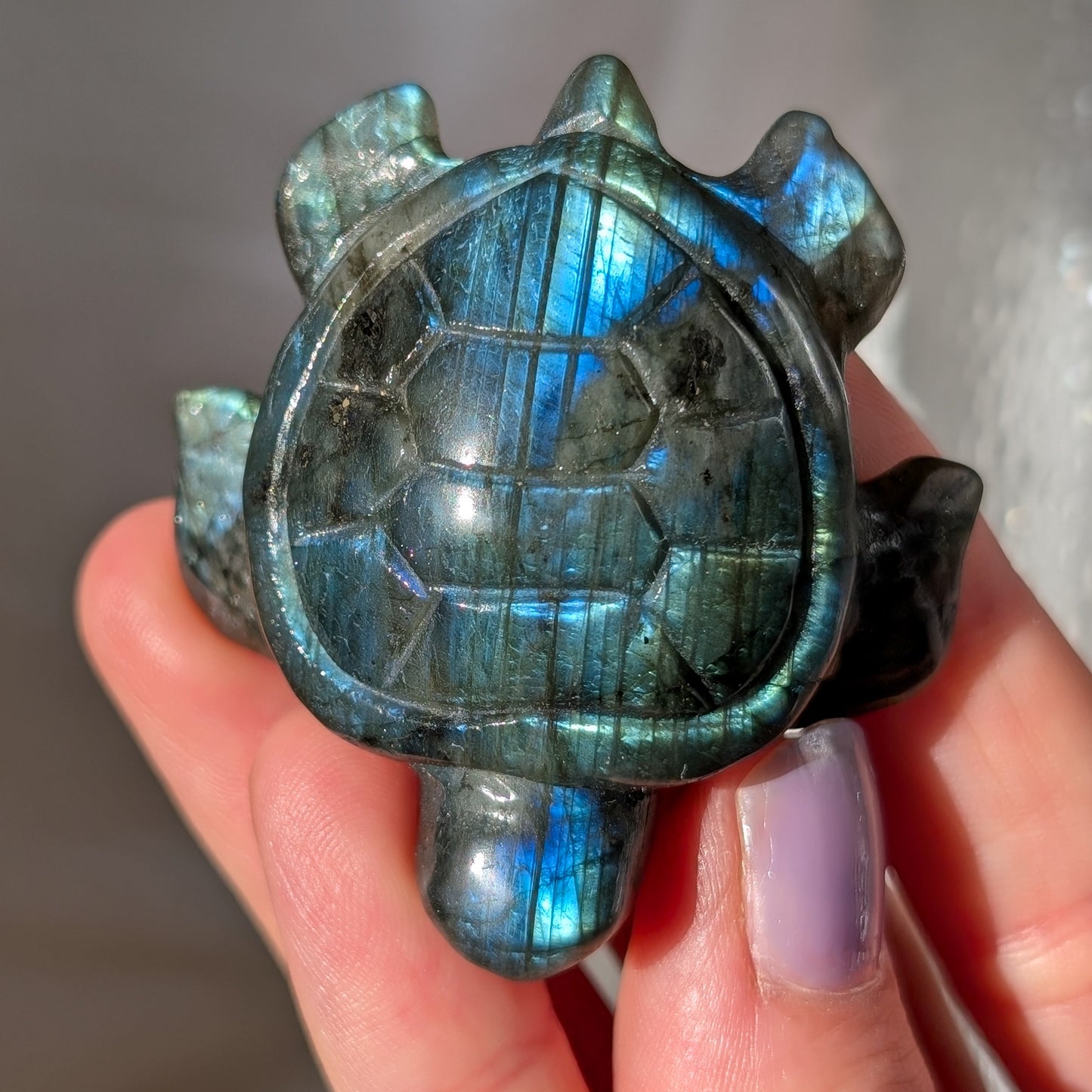 Labradorit Schildkröte mit Flash [BO]