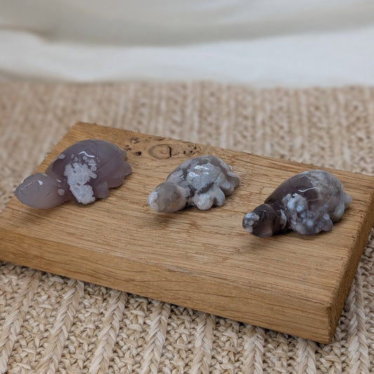 Blumenachat Schildkröte [A-C]