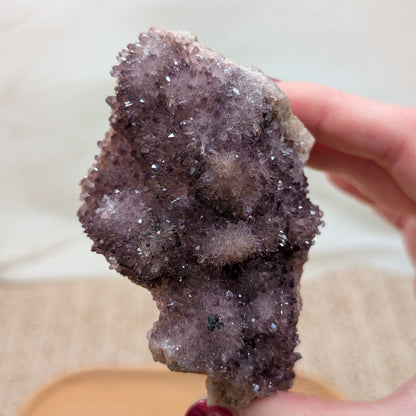 Alacam Amethyst Cluster [T]