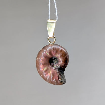 Kleiner Ammonit Kettenanhänger [G]