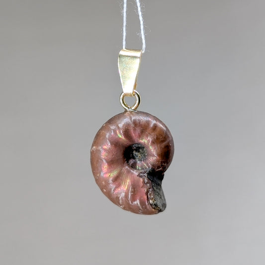 Kleiner Ammonit Kettenanhänger [G]