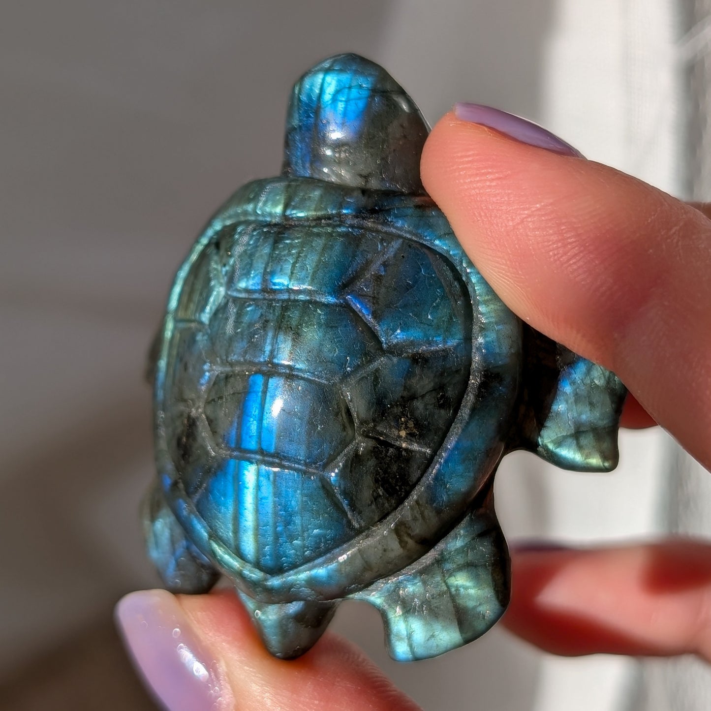 Labradorit Schildkröte mit Flash [BO]