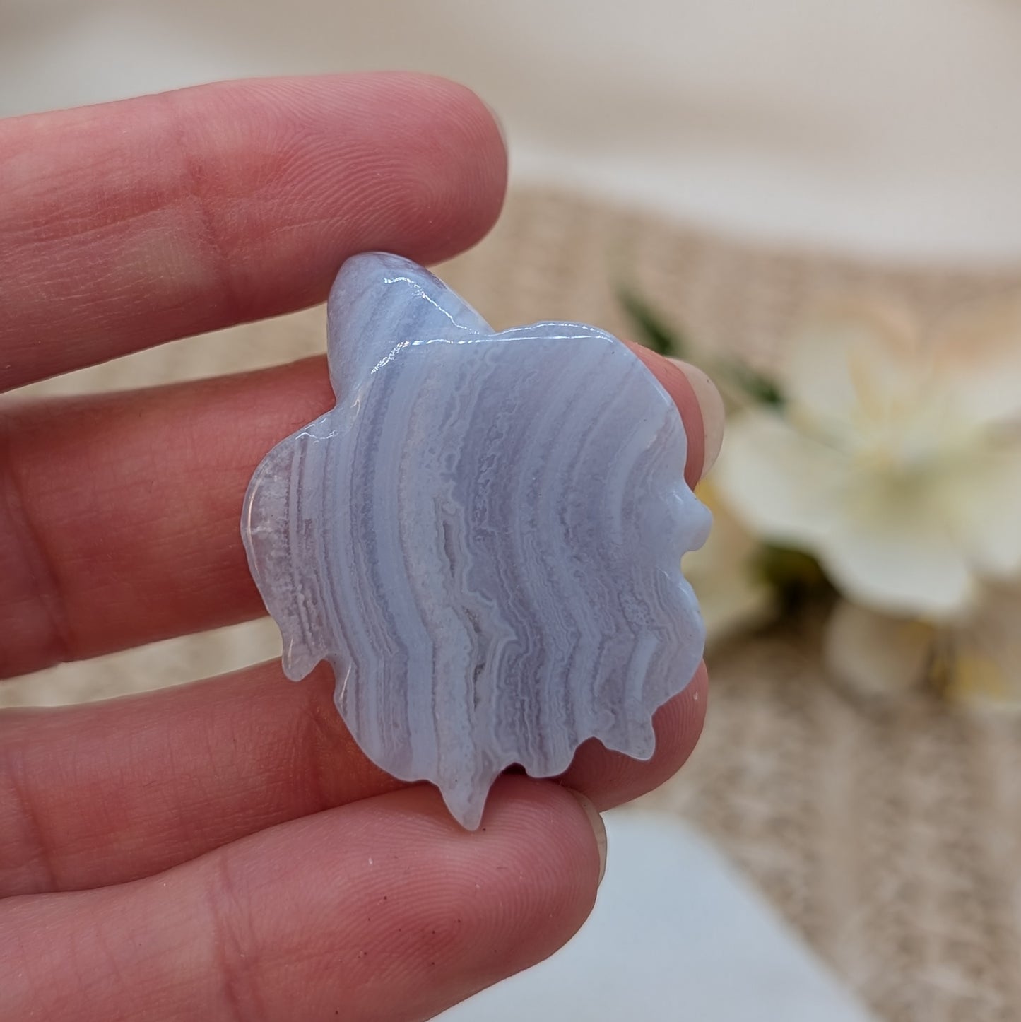 Blue Lace Achat Schildkröte