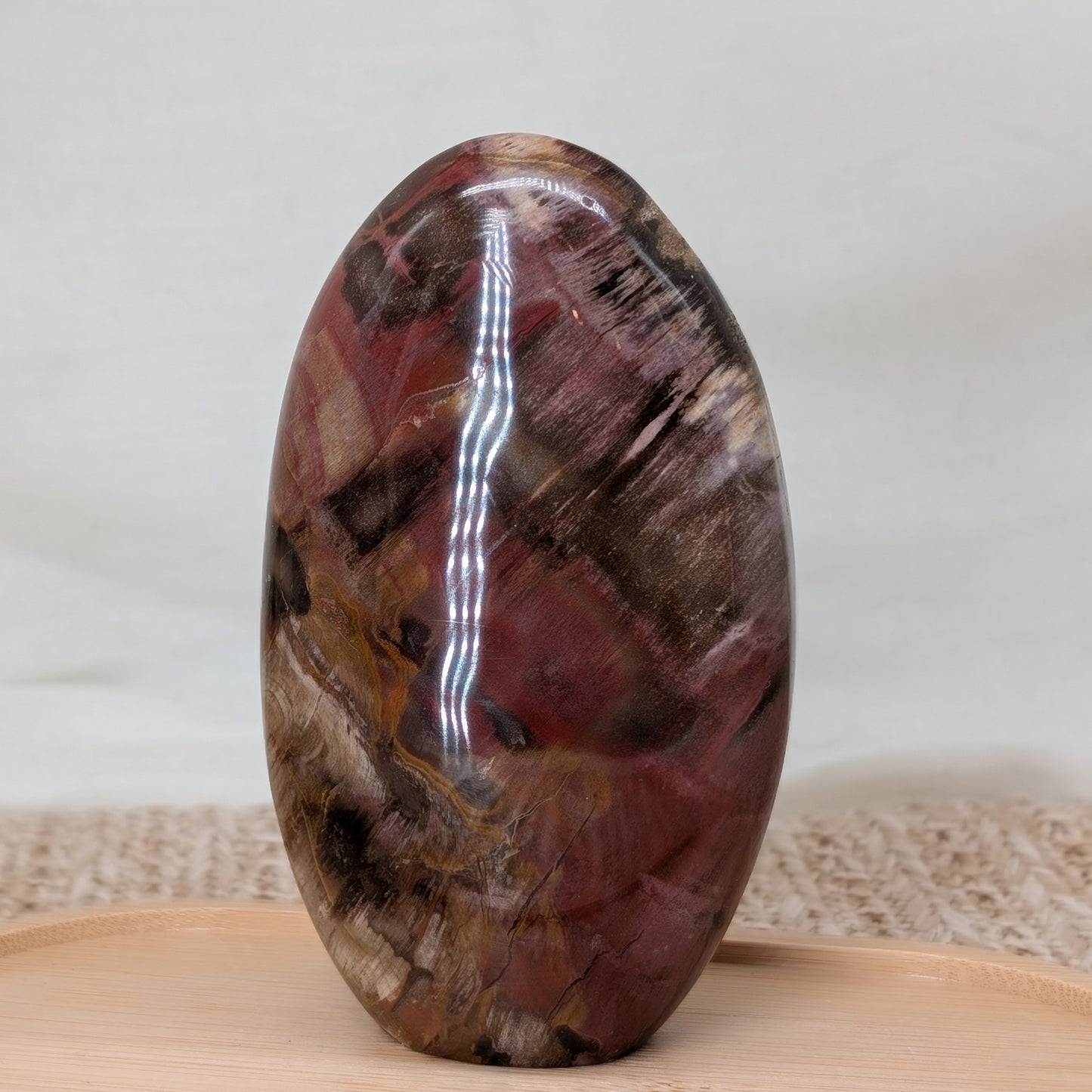 Versteinertes Holz Freiform [E]