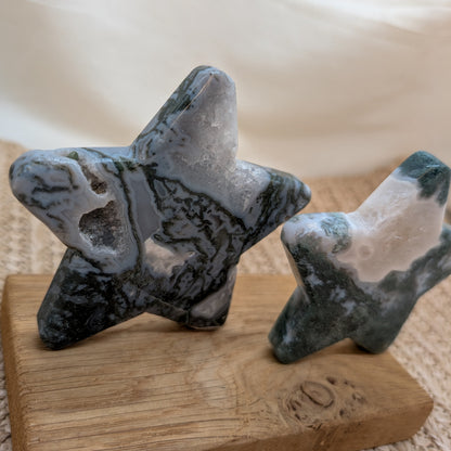 Moosachat Stern [A+B]