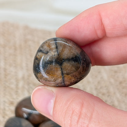 HQ Chiastolith Trommelstein