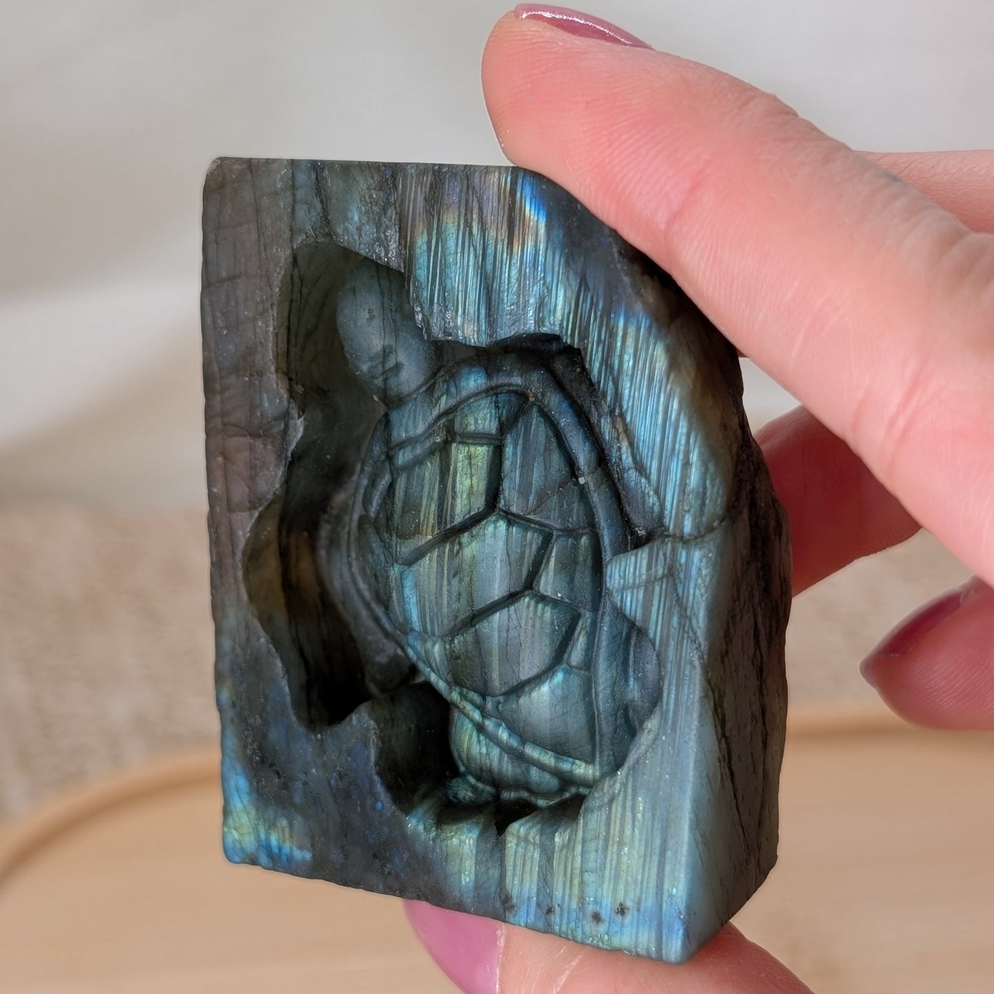 Flashy Labradorit Schildkröte [H]